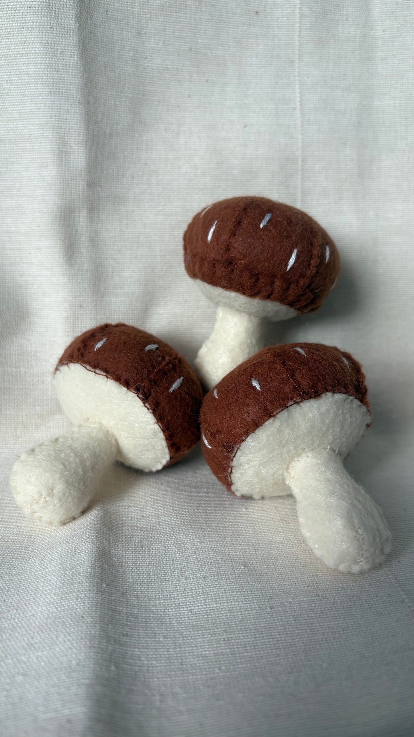 Champignon 🍄‍🟫